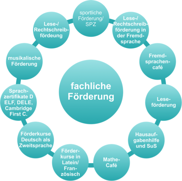 fachliche Foerderung