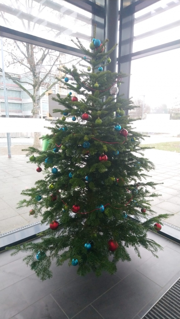 MTS Weihnachtsbaum 2021