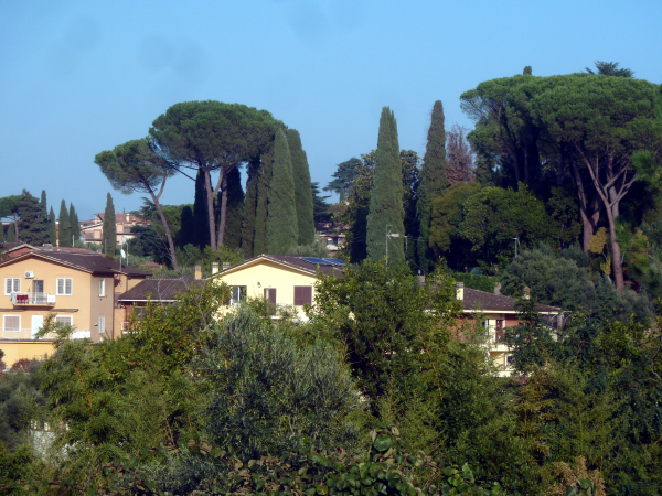 P1090724